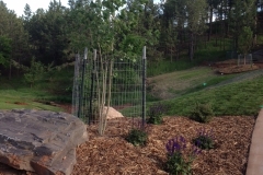 BlackHillsLandscapes-0003